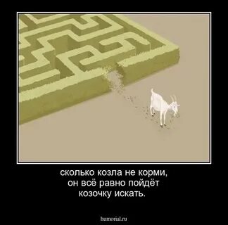 Не корми его
