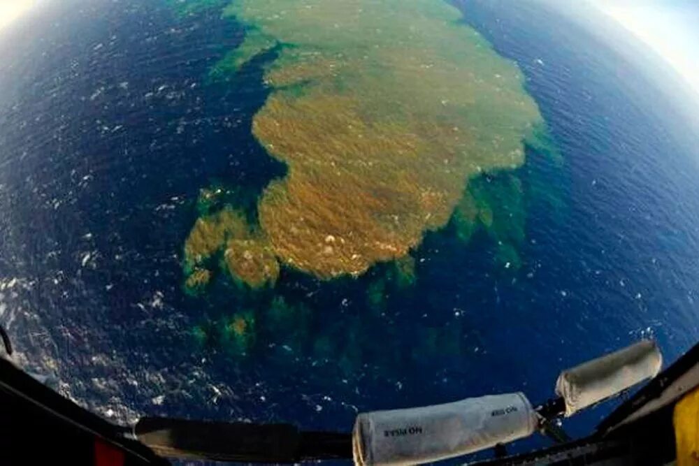 Саргассово море мусорное пятно. Крупное скопление островов в тихом. Крупное скопление островов в тихом. Большое тихоокеанское мусорное пятно. Крупное скопление островов в тихом.