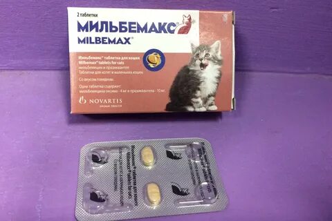 Лекарство от глистов для котят