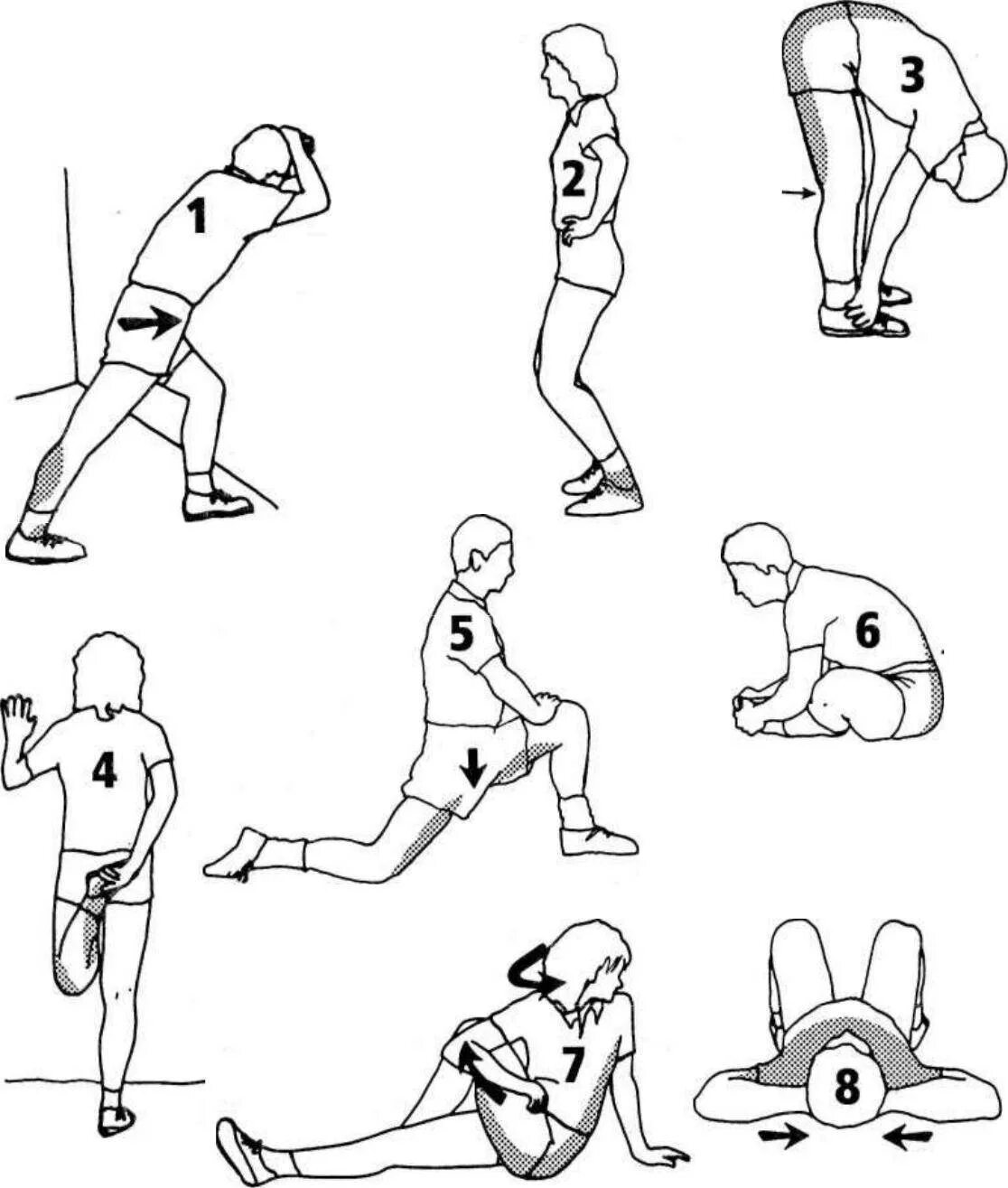 Разминки для тренингов. Схема разминки перед тренировкой. Упражнения для разогрева мышц перед бегом. Схема упражнения разминка ноги. Упражнения для разминки перед тренировкой схема.