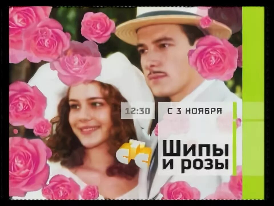 Розы и шипы дорама