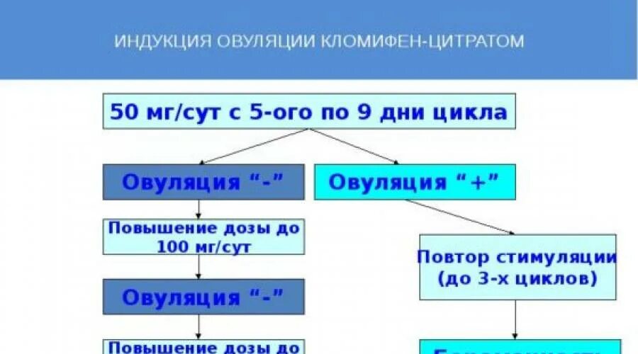 Стимуляция овуляции для зачатия естественным. Клостилбегит протокол стимуляция овуляции. Стимуляция клостилбегитом схема. Стимуляция овуляции клостилбегитом схема. Схемы индукции овуляции.