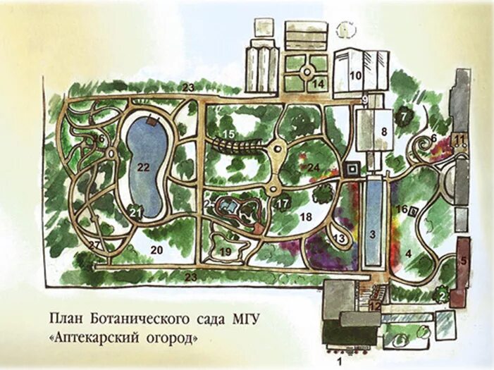 Проект ботаника тг. Ботанический сад МГУ Аптекарский огород план. Ботанический сад МГУ схема. Ботанический сад МГУ план. План ботанического сада Аптекарский огород.
