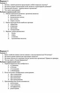 Что проходят в 10 классе
