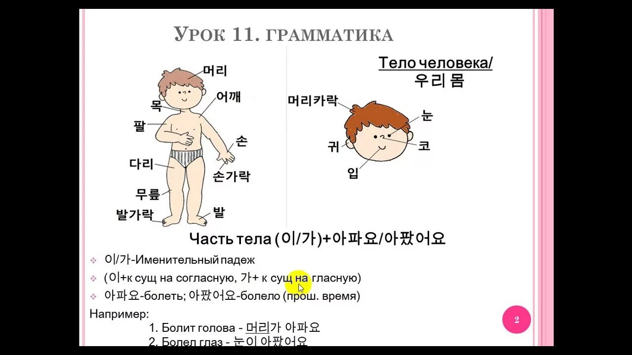 Корейский полный курс. Части тела на корейском. Корейский язык тело. Тело человека на корейском. Части тела по корейски.