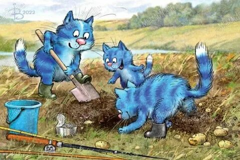 Кот копает воду