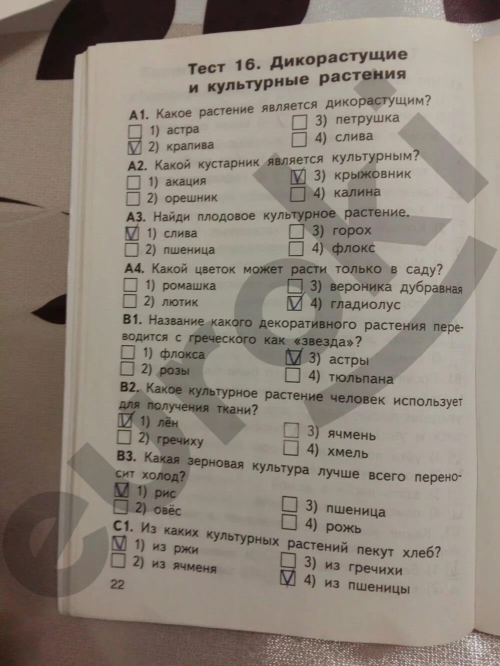 Тест яценко окружающий мир 3. Яценко окружающий мир 2 класс контрольно-измерительные материалы. Тесты окружающий мир 2 класс Яценко. Контрольные измерительные материалы окружающему миру 2 класс.