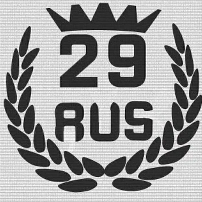 V24 region29 ru. Логотип 29. Эмблема региона. 29рус. Регион 29 лого.