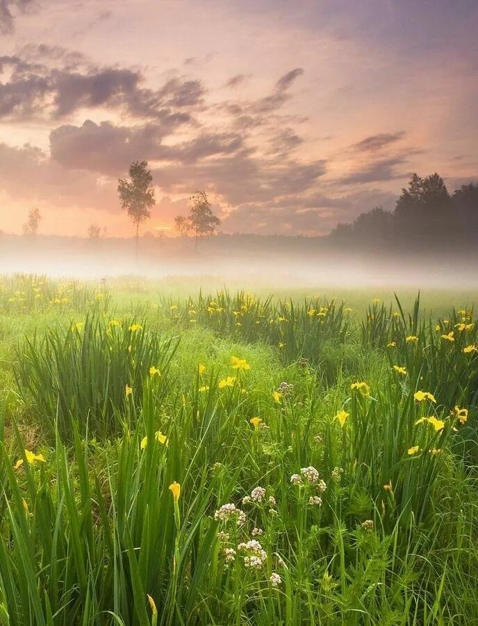Красивые фотки утра. Утро природа. Красивые фотки утра. Красивые фотки утра. Доброе утро рассвет.