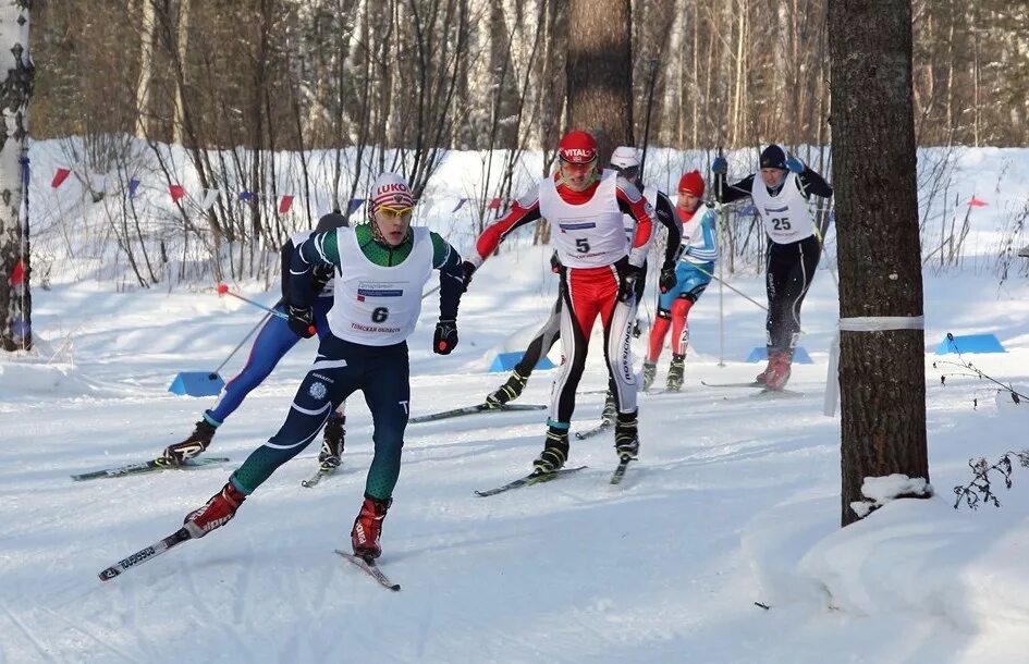 лыжные гонки томск. лыжные гонки томск. лыжня россии 2021 томск. никонов томск лыжные гонки. лыжные гонки томск.