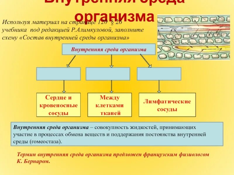 Контрольная работа по теме внутренняя среда