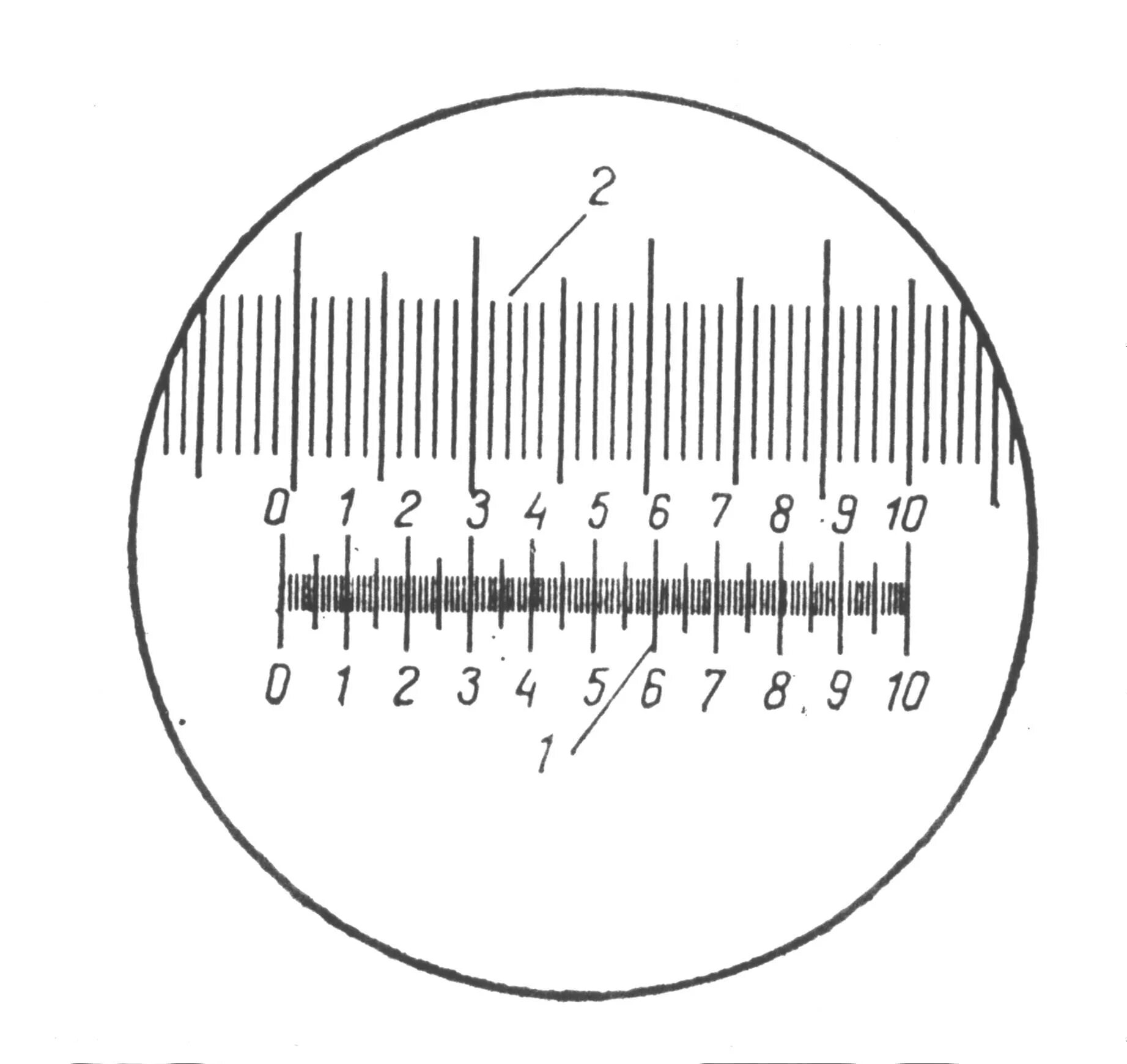 Шкала измерения линейки. Микрометрическая линейка и окуляр-микрометр. Микрометрическая окулярная линейка микроскопа. Окуляр-микрометр для микроскопа 0,001. Шкалы объект микрометра на микроскопе.