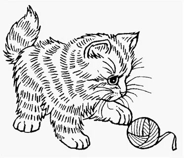 Как нарисовать играющего котенка