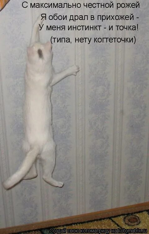 Вид нету