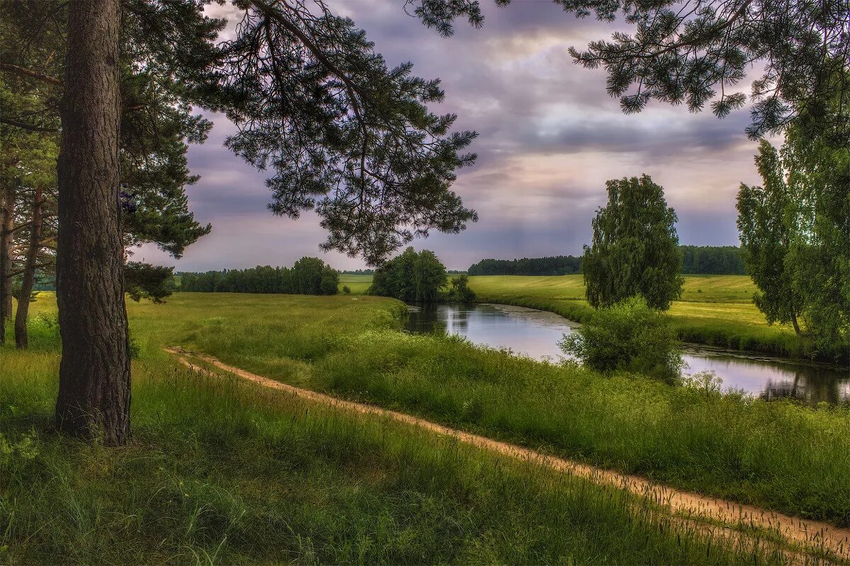 беларусь фото. озерцо река белоруссия. дзержинск белоруссия природа. луга беларуси. минск мирский замок.