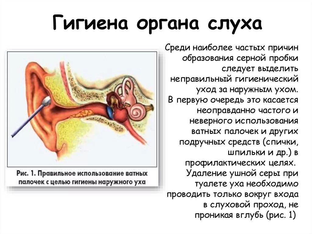 Как чистить надо уха. Повреждение ушной перепонки ватной палочкой. Наружный слуховой проход серная пробка. Строение ушной раковины для чистки ушей.