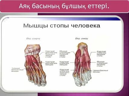 Украиналық әйелдердің қатысуымен порно видео