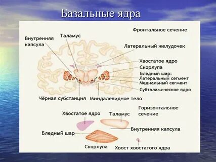 Будь рядом ядро