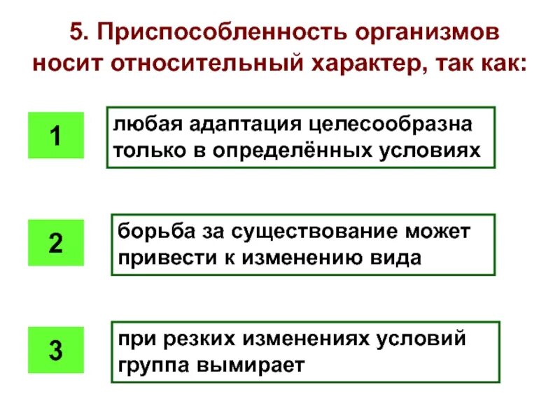 Относительная адаптация примеры