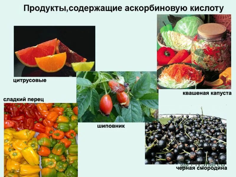 Плодовая кислота. Продукты содержащие кислоты. Нуклеиновые кислоты в продуктах. Продукты содержащие аскорбиновую кислоту. Нуклеиновые кислоты в продуктах питания.