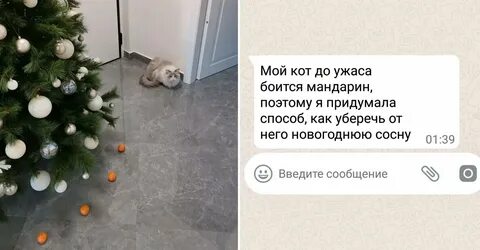 Защищай елку