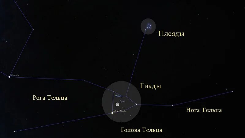 Созвездие альдебаран находится в созвездии. Гиады в созвездии тельца. Созвездие Телец Альдебаран. Созвездие Телец Плеяды и Гиады. Созвездие Телец Гиады.
