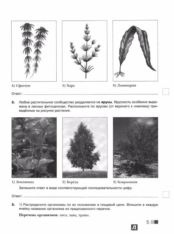Экологические признаки впр 5 класс биология. ВПР биология 11 класс. Проверочная работа по биологии 5 класс ВПР. Ответ на ВПР по биологии ламинария. Ламинария номер 5 в ВПР по биологии.