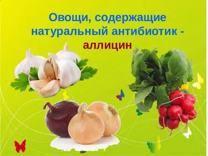 Овощи содержащие повышенное количество фитонцидов
