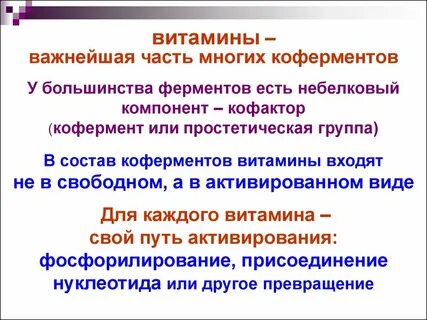 Простетическая группа