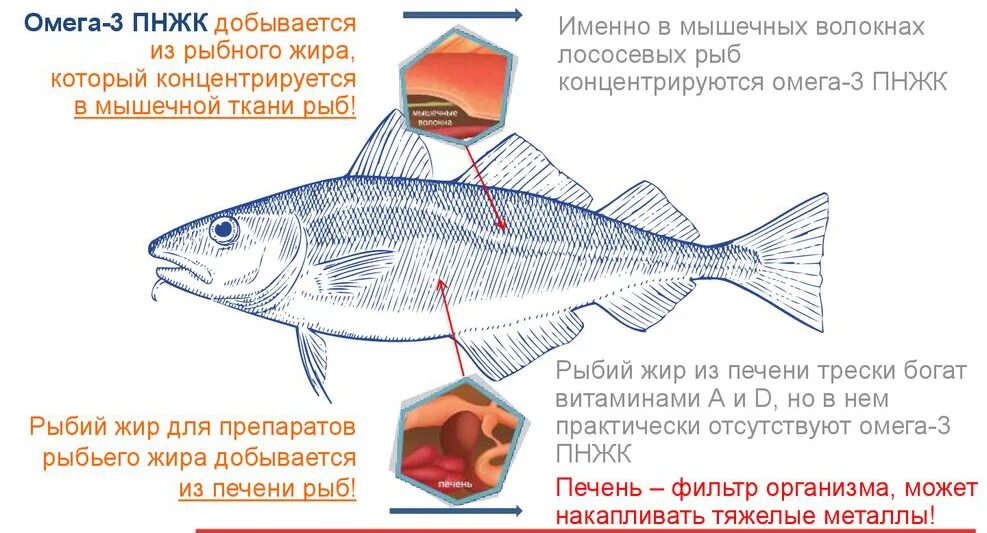 Молока рыбы польза. Молоко рыб полезно.