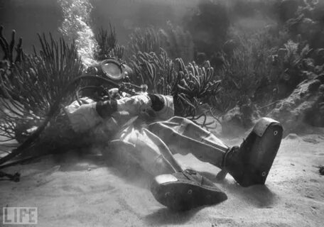 Водолазы подводный мир