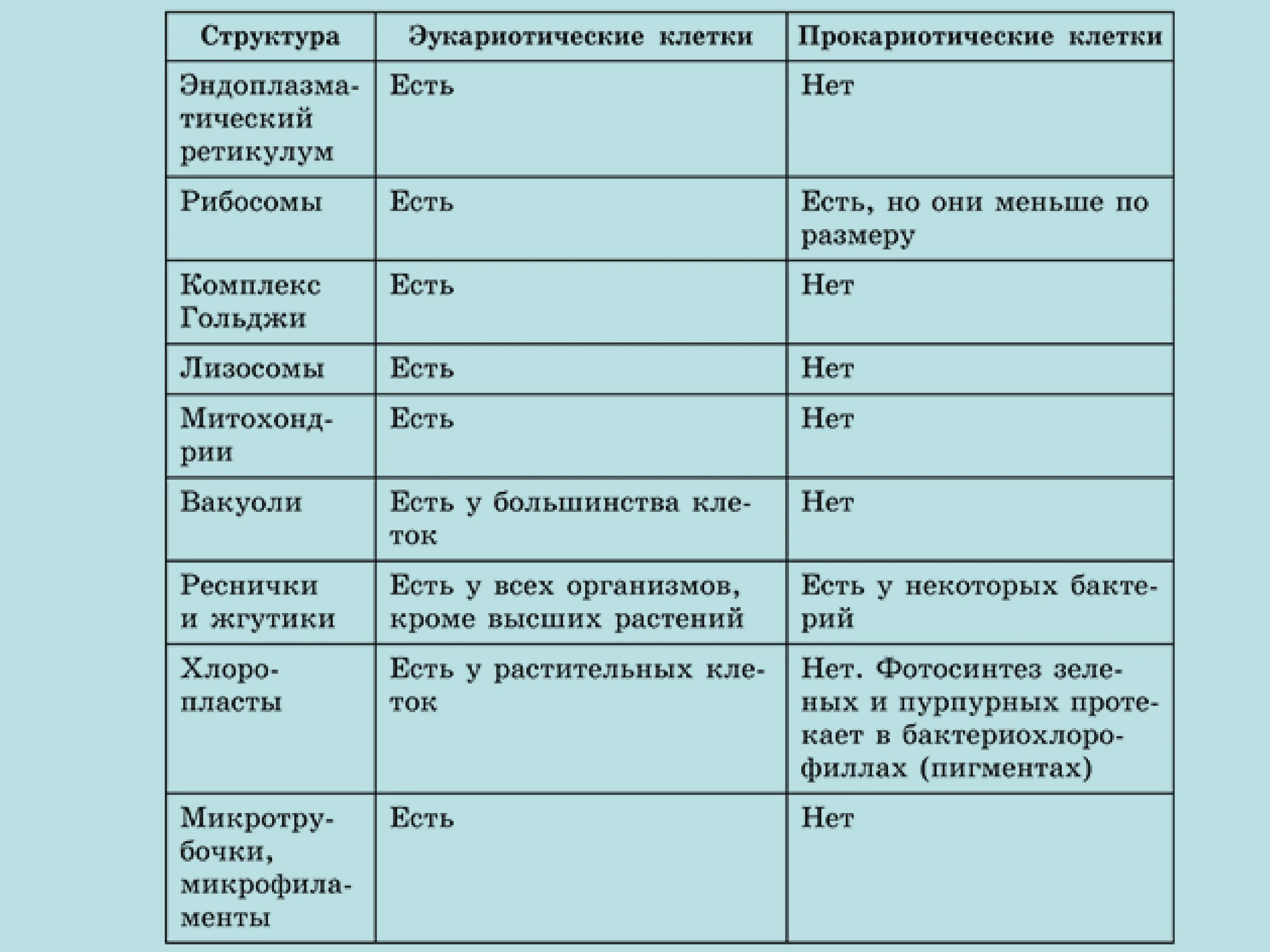 Организации эукариотической клетки. Строение и характеристика эукариотической клетки. Строение клетки прокариотической клетки таблица. Строение прокариотических и эукариотических клеток. Основные функции эукариотической клетки.