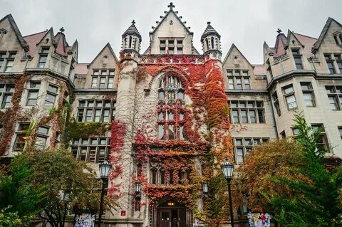 University сайт