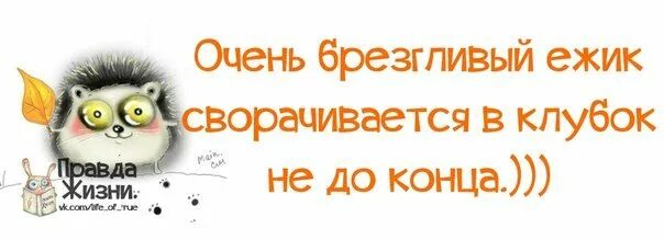 Брезгливый человек. Брезгливый человек. Брезгливый человек. Отвращение эмоция. Брезгливый человек.