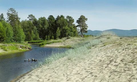 Безымянная речка