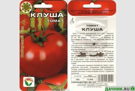 Помидор супер клуша описание сорта фото отзывы