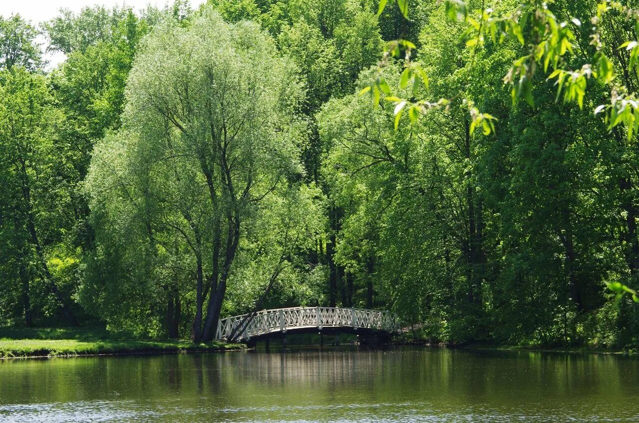 Погулять пензе. Пензенская природа Пензенской области. Достопримечательности Пензы Тарханы. Тарханы природа. Село Тарханы природа.