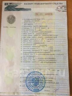 Бел птс