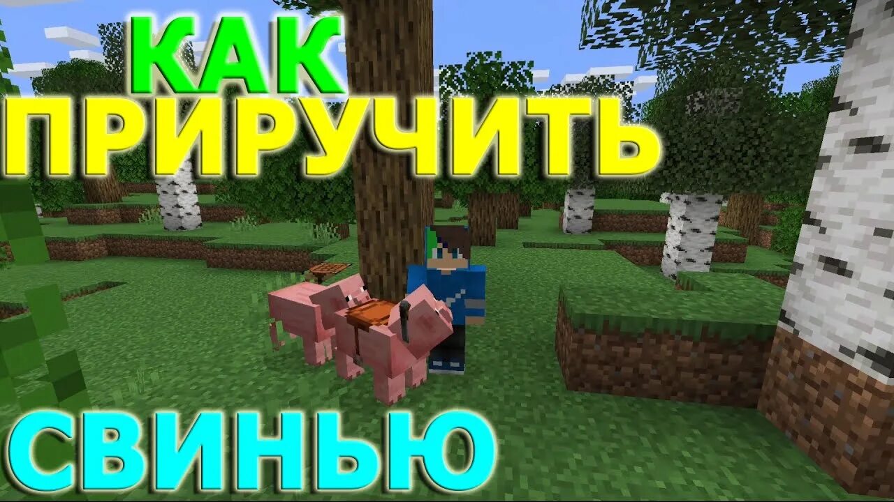 Как приручить свинью. Как приручить свинью