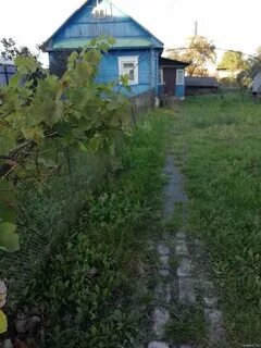 Дачи в солигорском районе