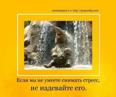 Мотивация смешные картинки