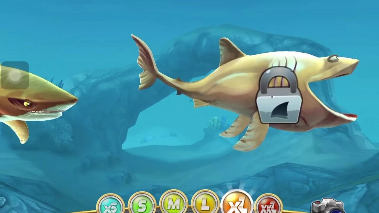 Акулы симулятор hungry Shark Evolution. Хангри Шарк ворлд взлмка. Взломанная игра Эволюция акул hungry Shark. Блуп Хангри Шарк. Взломанный хангри шарк ворлд