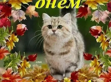Лучшие новинки осени