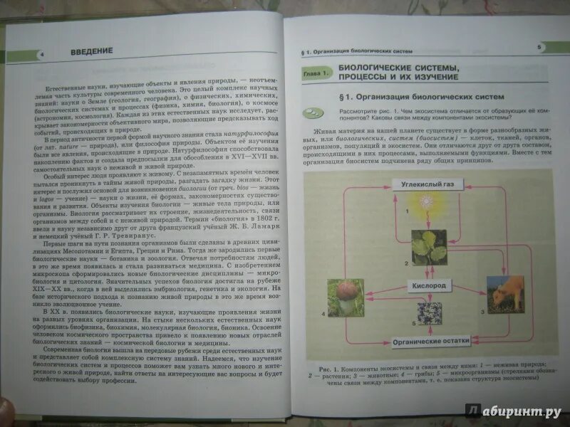 Биология 11 пасечник углубленный. Биология 10 класс Пасечник углубленный уровень. Биология 10 класс учебник углубленный уровень. Учебник Петросова биология 10 класс. Биология углубленный уровень книга.