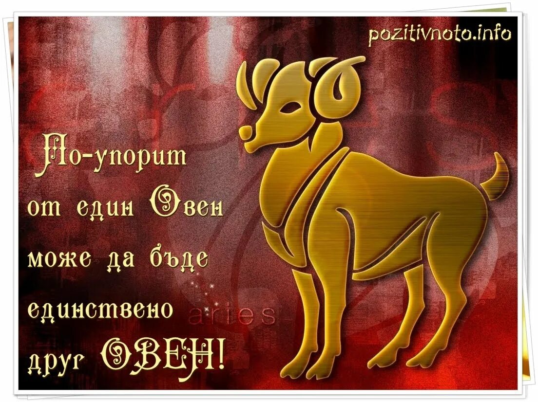 Гороскоп рожденных в год собаки. Год собаки Овен. Овен год собаки мужчина. Овен собака мужчина. Люди родившиеся в год собаки.