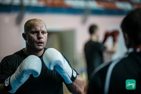 Новости федора