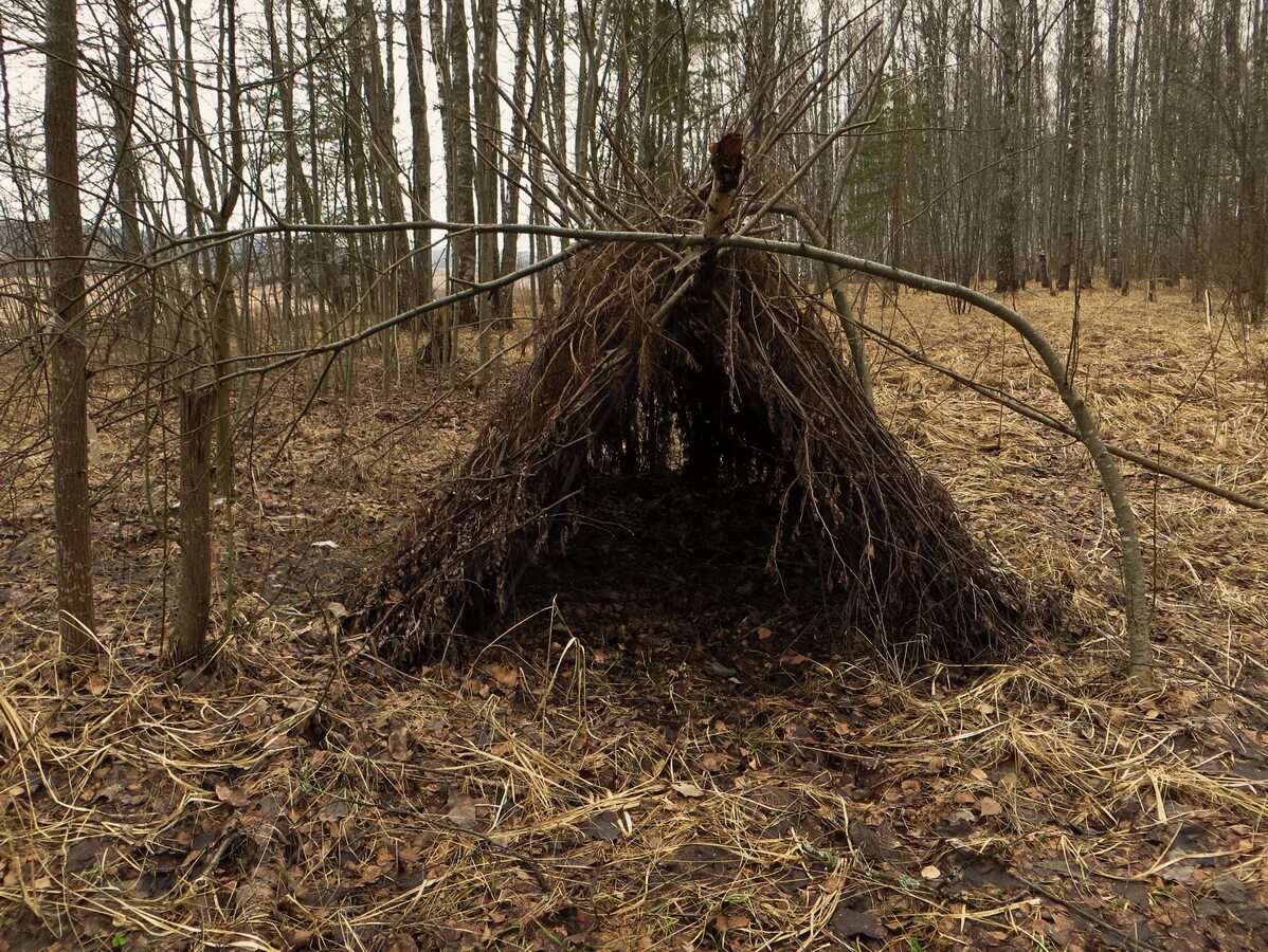 Укрытие в лесу. Курень соломенный шалаш. Шалаш вигвам в лесу. Укрытие из веток.