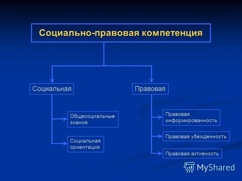 виды правовых компетенций. компетенции социального педагога. виды проф компетентности. уровни компетенций. проекты законодательных полномочий.