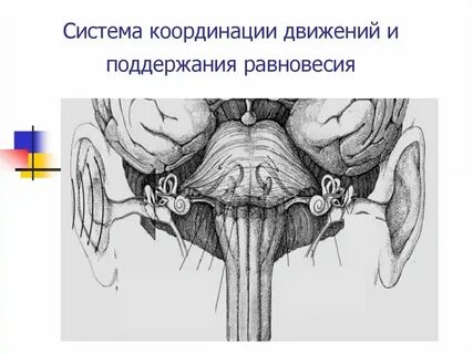Координационный центр система