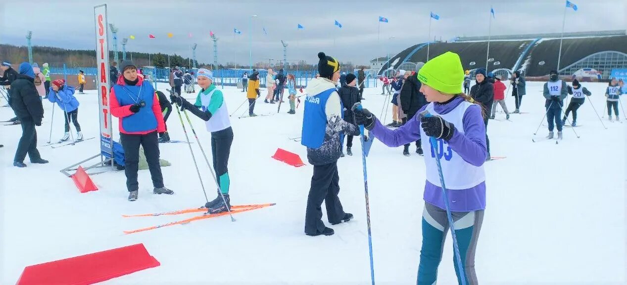 лыжероллерная трасса веснянка